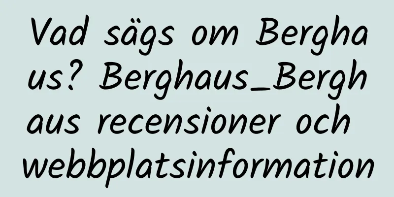 Vad sägs om Berghaus? Berghaus_Berghaus recensioner och webbplatsinformation