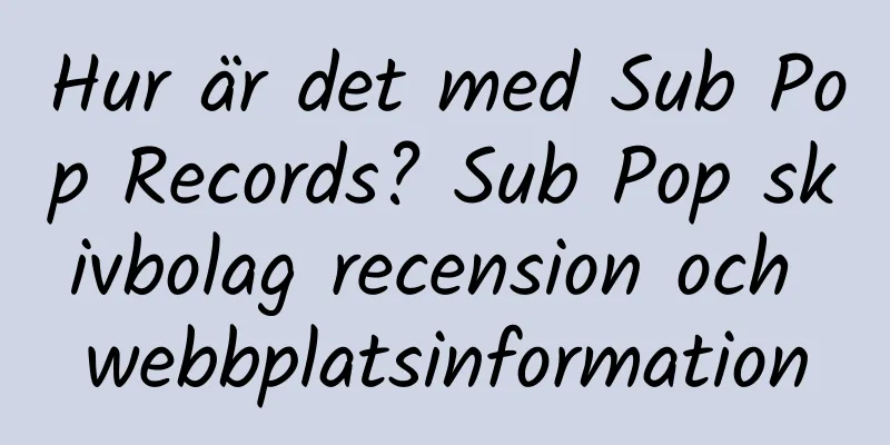 Hur är det med Sub Pop Records? Sub Pop skivbolag recension och webbplatsinformation