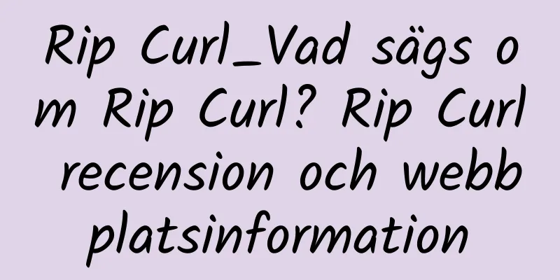 Rip Curl_Vad sägs om Rip Curl? Rip Curl recension och webbplatsinformation