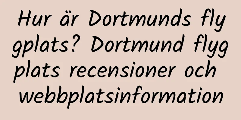 Hur är Dortmunds flygplats? Dortmund flygplats recensioner och webbplatsinformation