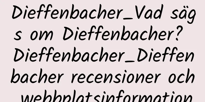Dieffenbacher_Vad sägs om Dieffenbacher? Dieffenbacher_Dieffenbacher recensioner och webbplatsinformation