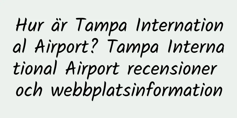 Hur är Tampa International Airport? Tampa International Airport recensioner och webbplatsinformation