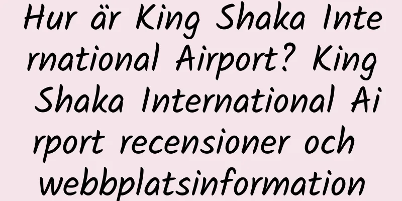 Hur är King Shaka International Airport? King Shaka International Airport recensioner och webbplatsinformation