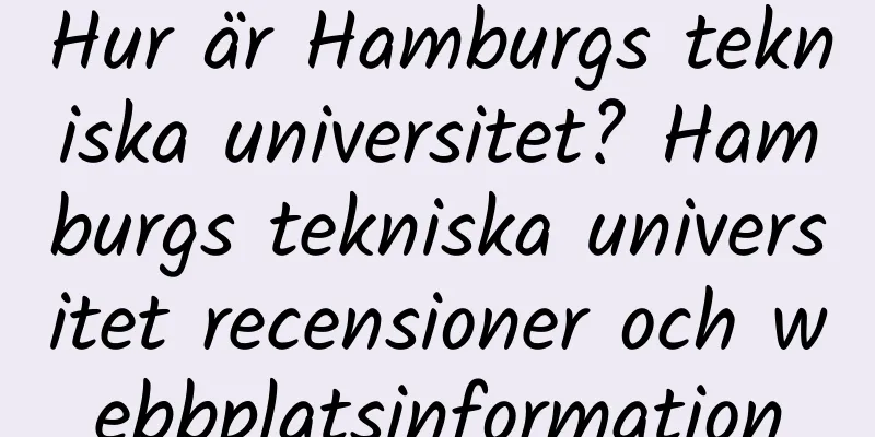 Hur är Hamburgs tekniska universitet? Hamburgs tekniska universitet recensioner och webbplatsinformation