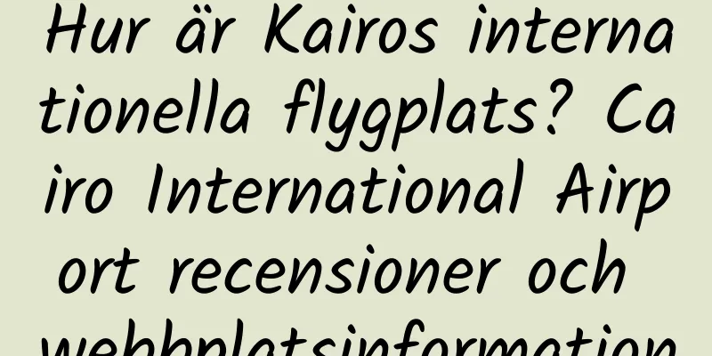 Hur är Kairos internationella flygplats? Cairo International Airport recensioner och webbplatsinformation