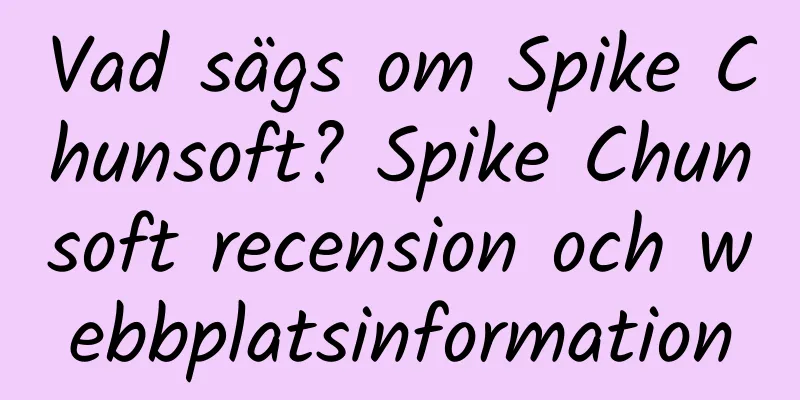 Vad sägs om Spike Chunsoft? Spike Chunsoft recension och webbplatsinformation