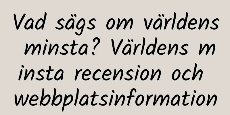 Vad sägs om världens minsta? Världens minsta recension och webbplatsinformation
