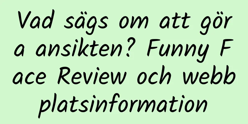 Vad sägs om att göra ansikten? Funny Face Review och webbplatsinformation