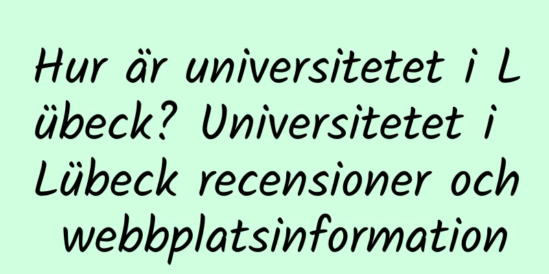 Hur är universitetet i Lübeck? Universitetet i Lübeck recensioner och webbplatsinformation