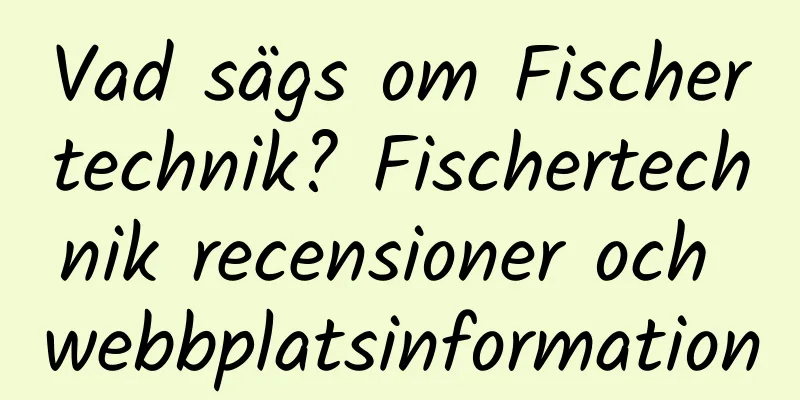 Vad sägs om Fischertechnik? Fischertechnik recensioner och webbplatsinformation