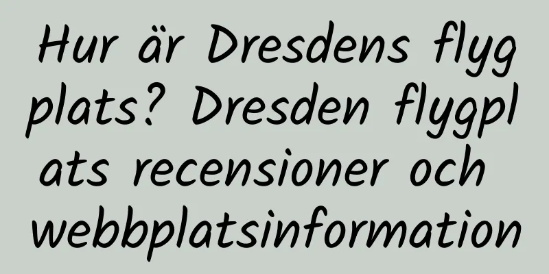 Hur är Dresdens flygplats? Dresden flygplats recensioner och webbplatsinformation