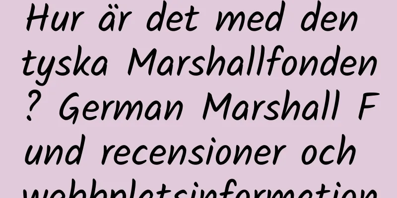 Hur är det med den tyska Marshallfonden? German Marshall Fund recensioner och webbplatsinformation