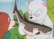 Överklagandet och utvärderingen av "Katteni Shirokuma": En unik världsbild och djup av karaktärer