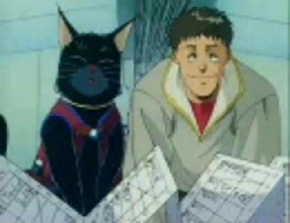 Överklagandet och recensionerna av "The Enemy is a Pirate: A Feast of Cats": En måste-se-anime för kattälskare