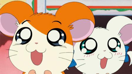 Hamtaro: En grundlig genomgång av hamsterns berättelse om helande och äventyr