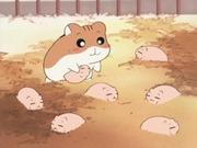 Hamster Club: En grundlig utvärdering av de attraktiva karaktärerna och djupet i berättelsen