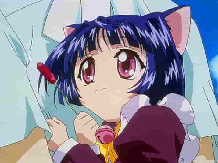 Magical Girl Cat Taruto - En recension av den fascinerande nya animen