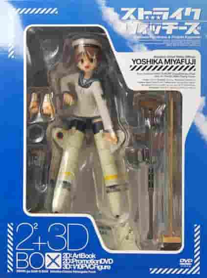 Överklagandet och utvärderingen av Strike Witches 2x2 + 3D Box ~Avslöja de mekaniserade jungfrurnas hemligheter~