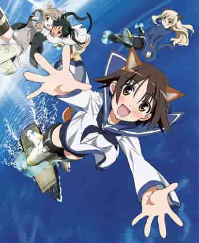 Överklagandet och recensionerna av "Strike Witches": En grundlig förklaring av de vackra stridsflickornas bedrifter