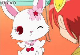 Överklagandet och recensionerna av Jewelpet: En grundlig förklaring av historien om magi och vänskap