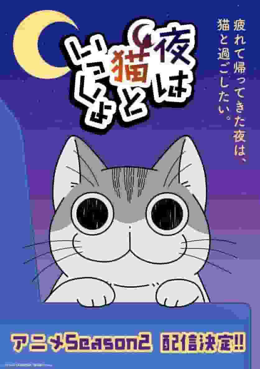 Överklagandet och recensionerna av säsong 2 av "Yoru wa Neko to Issyo": En måste-se-anime för kattälskare