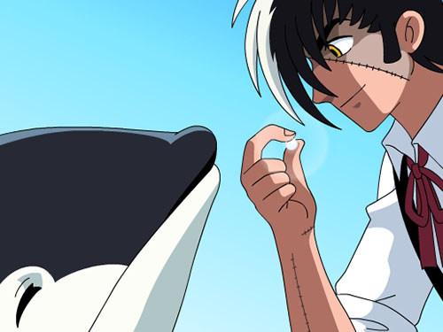 Black Jack Internet Edition: New Appeal and Evaluation of the Classic
