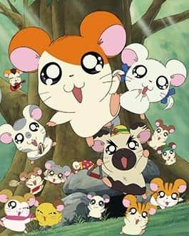 Överklagandet och utvärderingen av Hamtaros specialanime