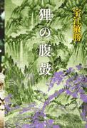 Recension av "Tanuki no Harada": En fascinerande historia och djupa karaktärer