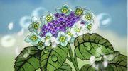 "Summer Love Flowers": Omvärderar allas rörande sång
