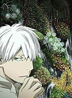 Mushishi: The Second Half of Season: Attraktionen av en utökad berättelse och vackra bilder