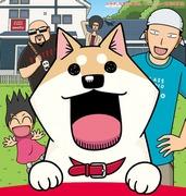 Min kära Mooko: Vad är överklagandet av denna hjärtvärmande och lugnande anime som skildrar det dagliga livet för en katt?