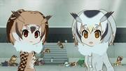 Överklagandet och intrycken av samarbetet Kemono Friends x Anisama 2017