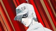 Cells at Work Special Edition "Cold Syndrome" recension: Ett roligt sätt att lära sig om mekanismen för förkylningar