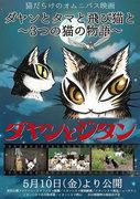 En grundlig recension av Dayan, Tama and the Flying Cat: A Tale of Three Cats! Vilken katt är mest attraktiv?