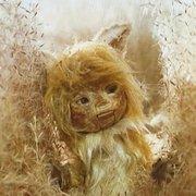 Recension och utvärdering av filmen "Gon": The story of a little fox